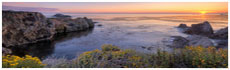 Point Lobos