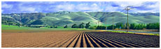 Salinas Valley