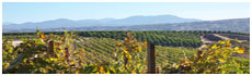 Temecula Valley AVA