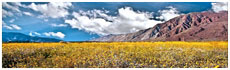 Anza Borrego