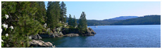 Coeur d'Alene