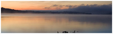 Lake Lemon