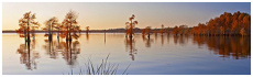 Caddo Lake