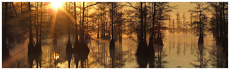 Cross Lake
