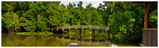 Lake Fausse Pointe State Park