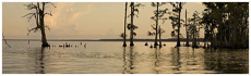 Lake Maurepas