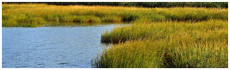 Belle Isle Marsh Reservation