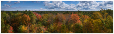 Freetown-Fall River State Forest