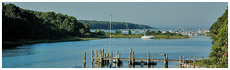 Vineyard Haven