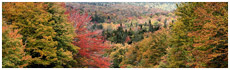 Dixville Notch