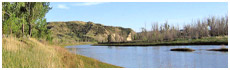 Theodore Roosevelt National Park