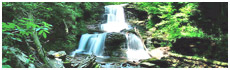 Ricketts Glen