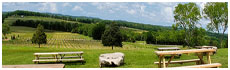 Arrington Vineyards