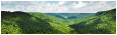 Cumberland Mountain