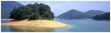 Watauga Lake