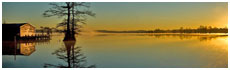 Caddo Lake