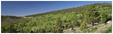 Anasazi