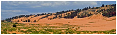 Coral Pink Sand Dunes