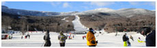 Stowe Mountain