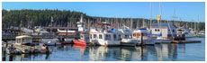 Friday Harbor